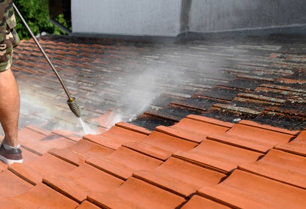 Best Best Pressure Washing Companies  in Riverside, IL