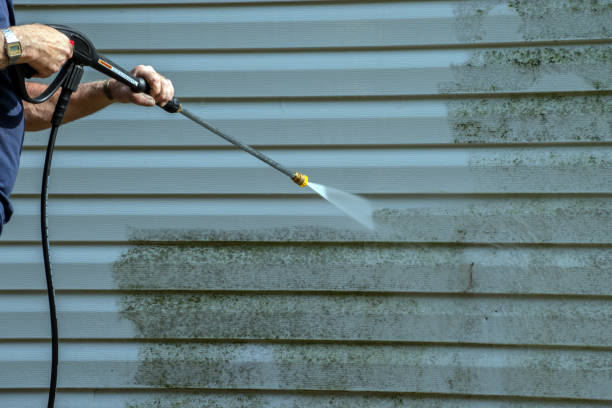 Best Residential Pressure Washing Services  in Riverside, IL