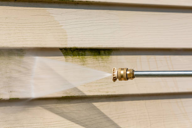 Best Roof Pressure Washing  in Riverside, IL