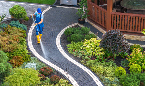 Best Pressure Washing Company Near Me  in Riverside, IL